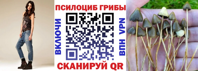 Галлюциногенные грибы MAGIC MUSHROOMS  Губаха 